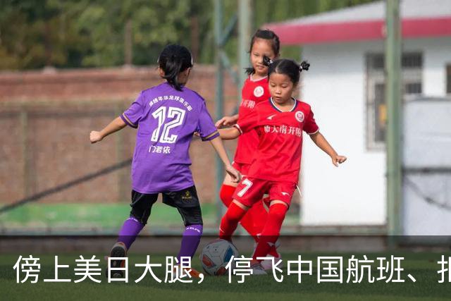 傍上美日大腿，停飞中国航班、拒绝中国游客的小国，如今怎样了？