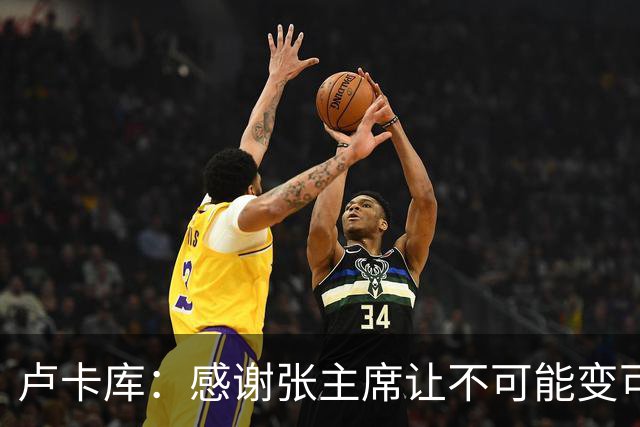 卢卡库：感谢张主席让不可能变可能 会全力帮国米