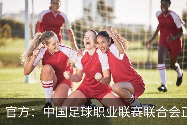官方：中国足球职业联赛联合会正式成立