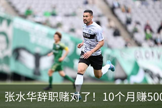 张水华辞职赌对了！10个月赚500万=当护士30年 白岩松说错了