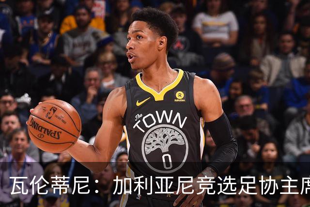 瓦伦蒂尼：加利亚尼竞选足协主席，意甲内部存在分裂