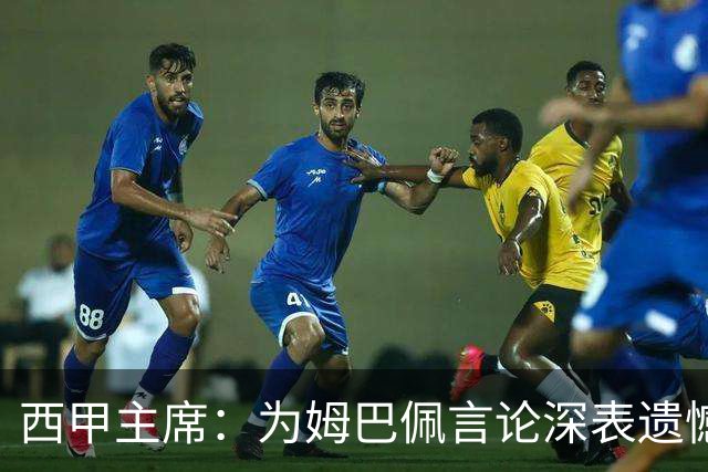 西甲主席：为姆巴佩言论深表遗憾，向中国人民致歉