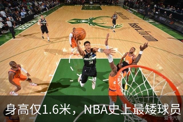 身高仅1.6米，NBA史上最矮球员，博格斯的球衣号码将在黄蜂队退役
