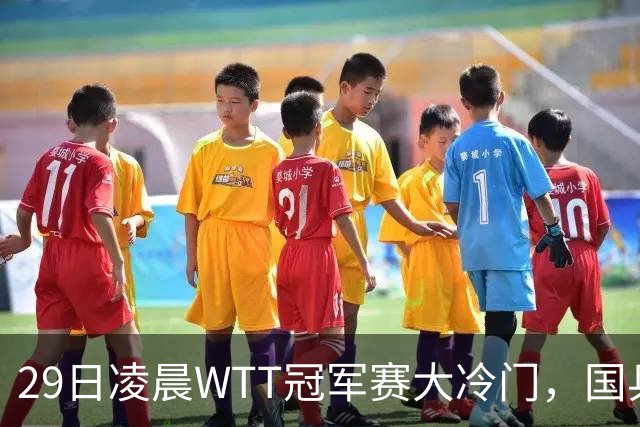 29日凌晨WTT冠军赛大冷门，国乒头号强敌出局，张本智和真不行
