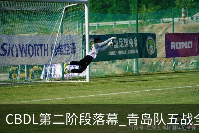 CBDL第二阶段落幕 青岛队五战全胜夺赛区头名
